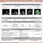 How to perform echocardiographic evaluation in a percutaneous closure of ventricular septal defect.