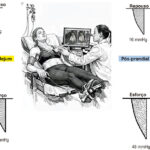 Figura 2