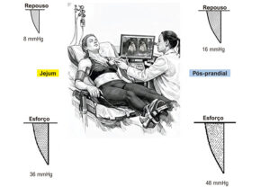Figura 2