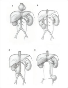 Figura 3