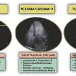 Figura 1