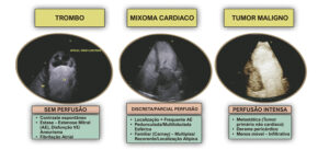 Figura 1