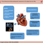 Advantages and clinical implications of three-dimensional echocardiography in the evaluation of the right ventricle. RVEF: right ventricular ejection fraction.