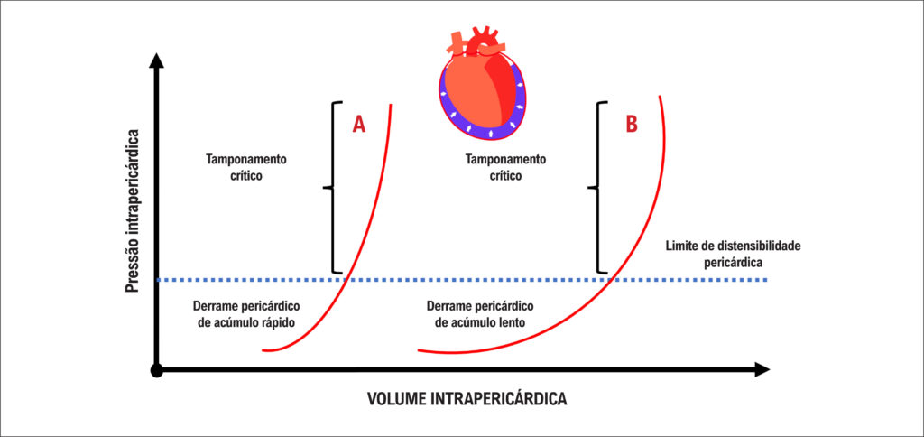 Figura 1