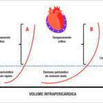 Figura 1