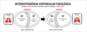 Figura 2
