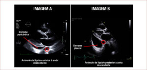 Figura 3