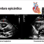 Figura 4