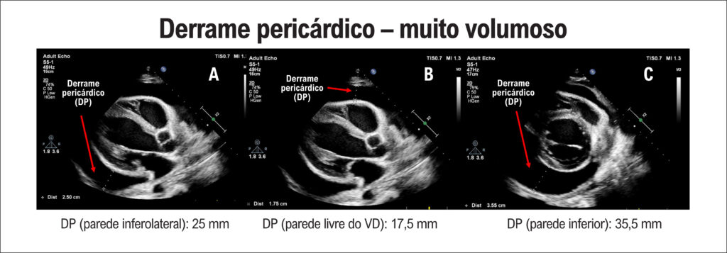 Figura 5