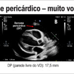 Figura 5