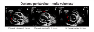 Figura 5