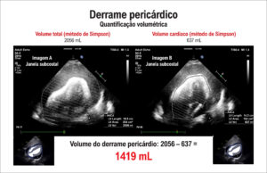 Figura 6