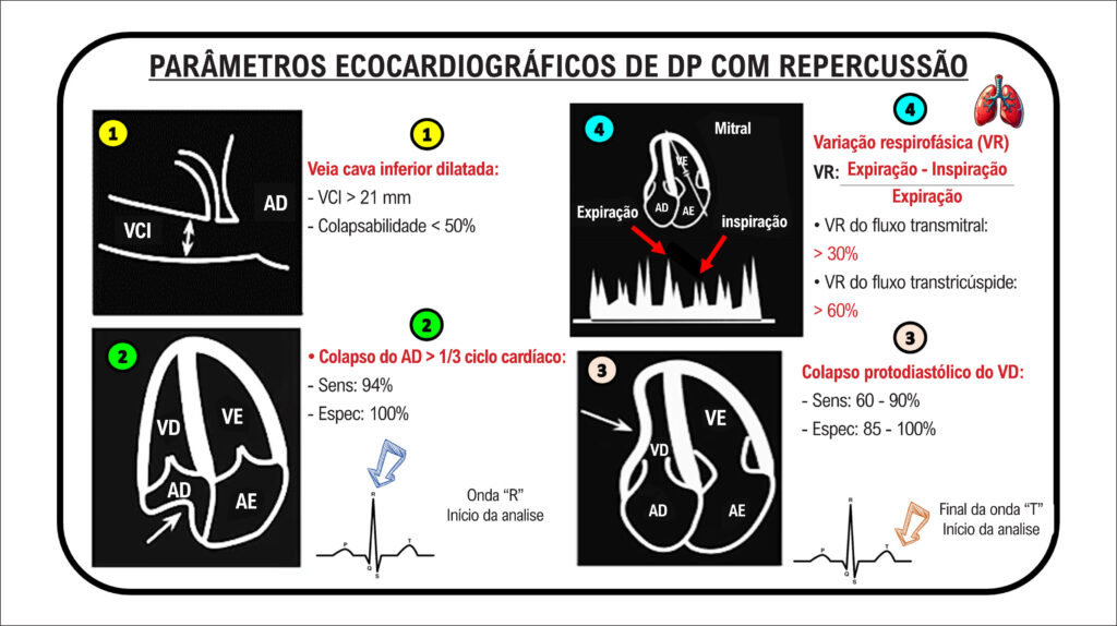 Figura 12