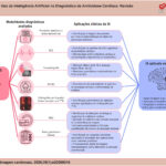 Imagem 1 da galeria
