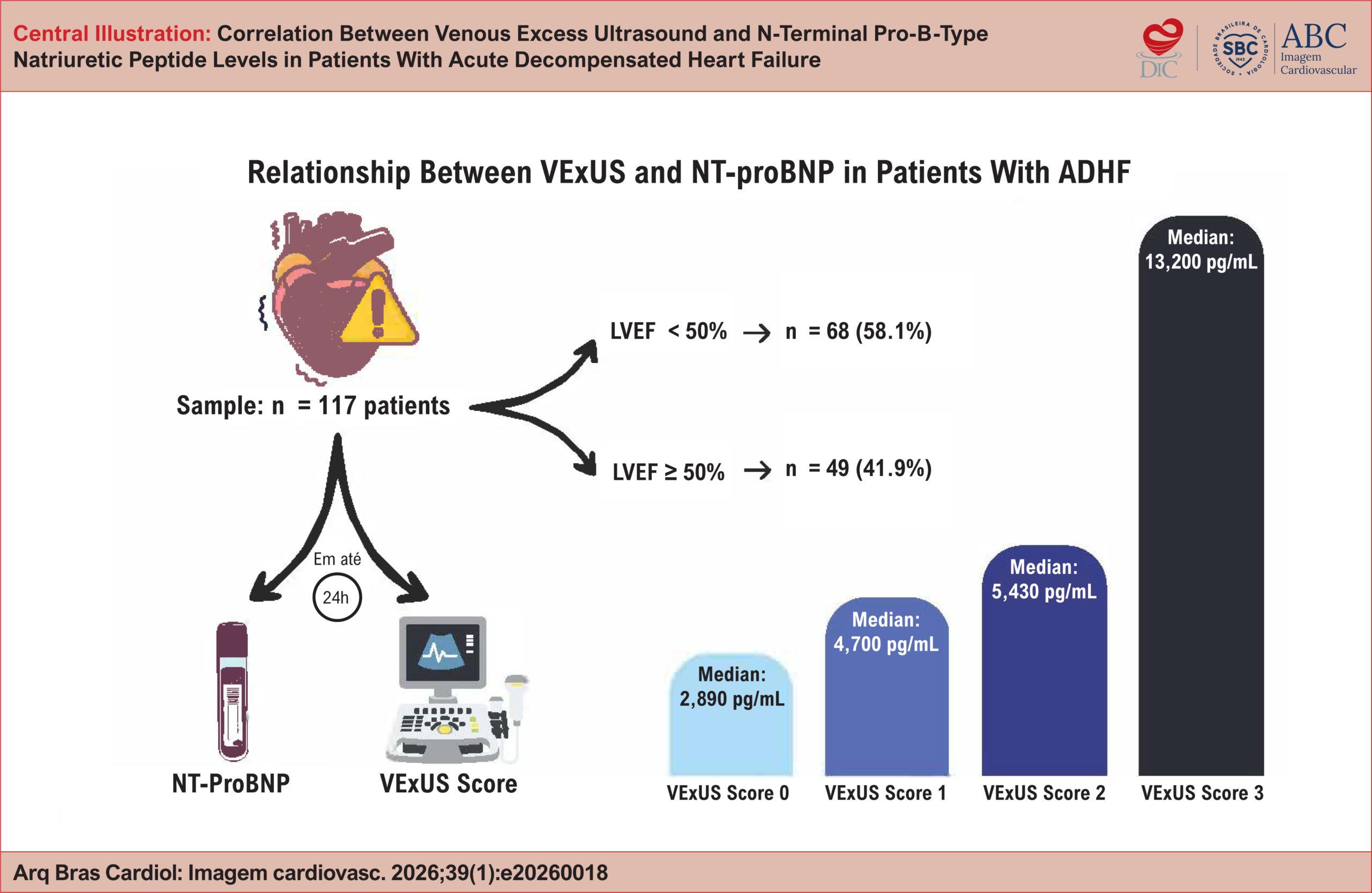 Correlation Between Venous Excess Ultrasound and N-Terminal Pro-B-Type Natriuretic Peptide Levels in Patients With Acute Decompensated Heart Failure