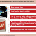 MR: mitral regurgitation.