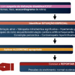Imagem 1 da galeria