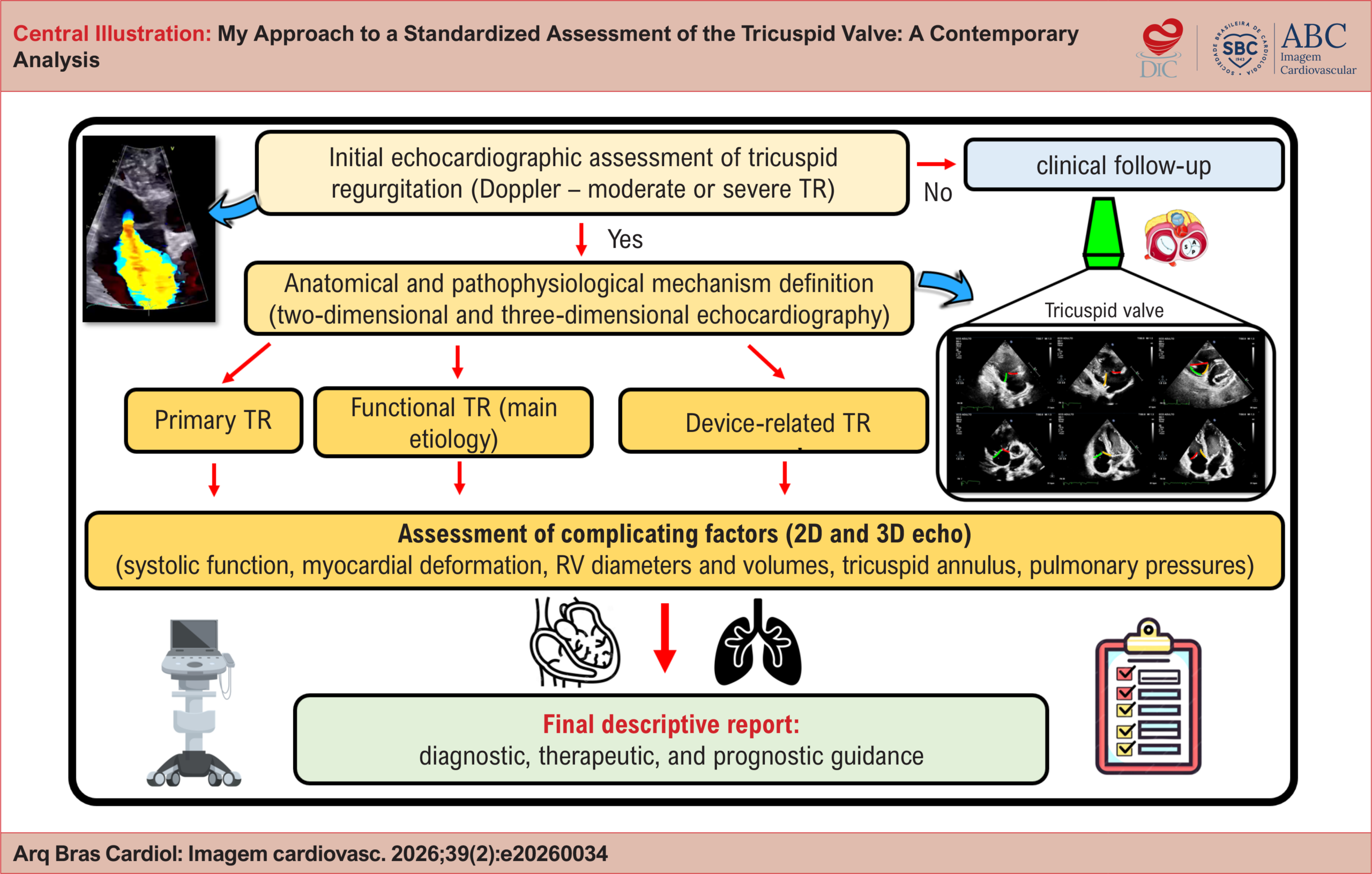 My Approach to a Standardized Assessment of the Tricuspid Valve: A Contemporary Analysis