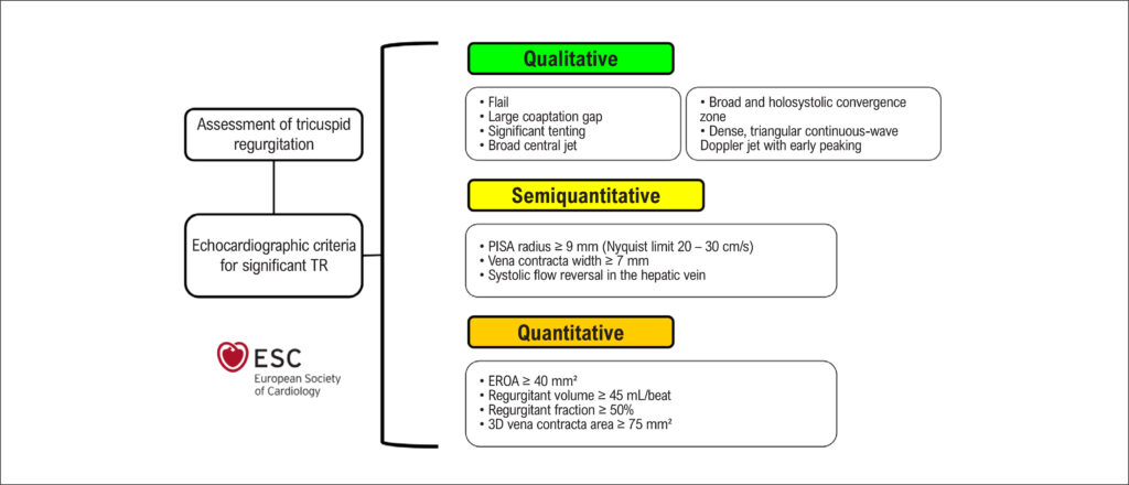 Figura 2