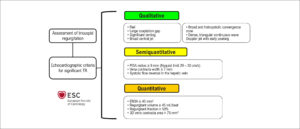 Figura 2
