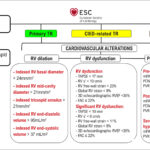 Figura 3