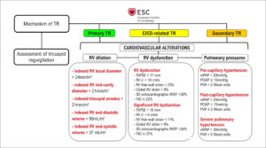 Figura 3