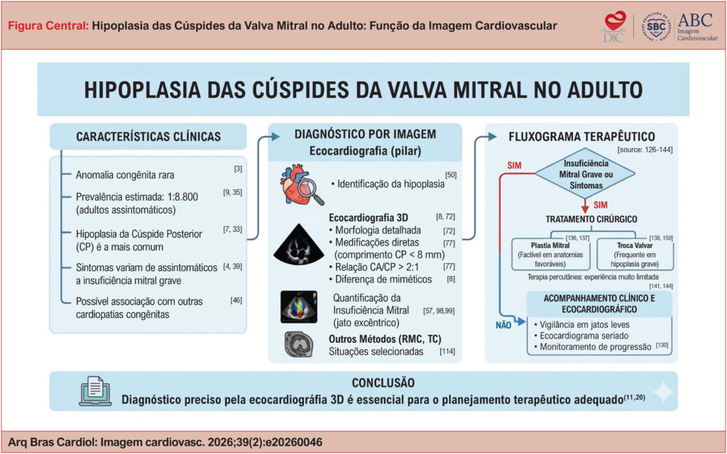 Imagem 1 da galeria
