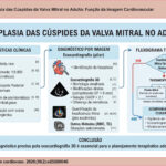 Imagem 1 da galeria