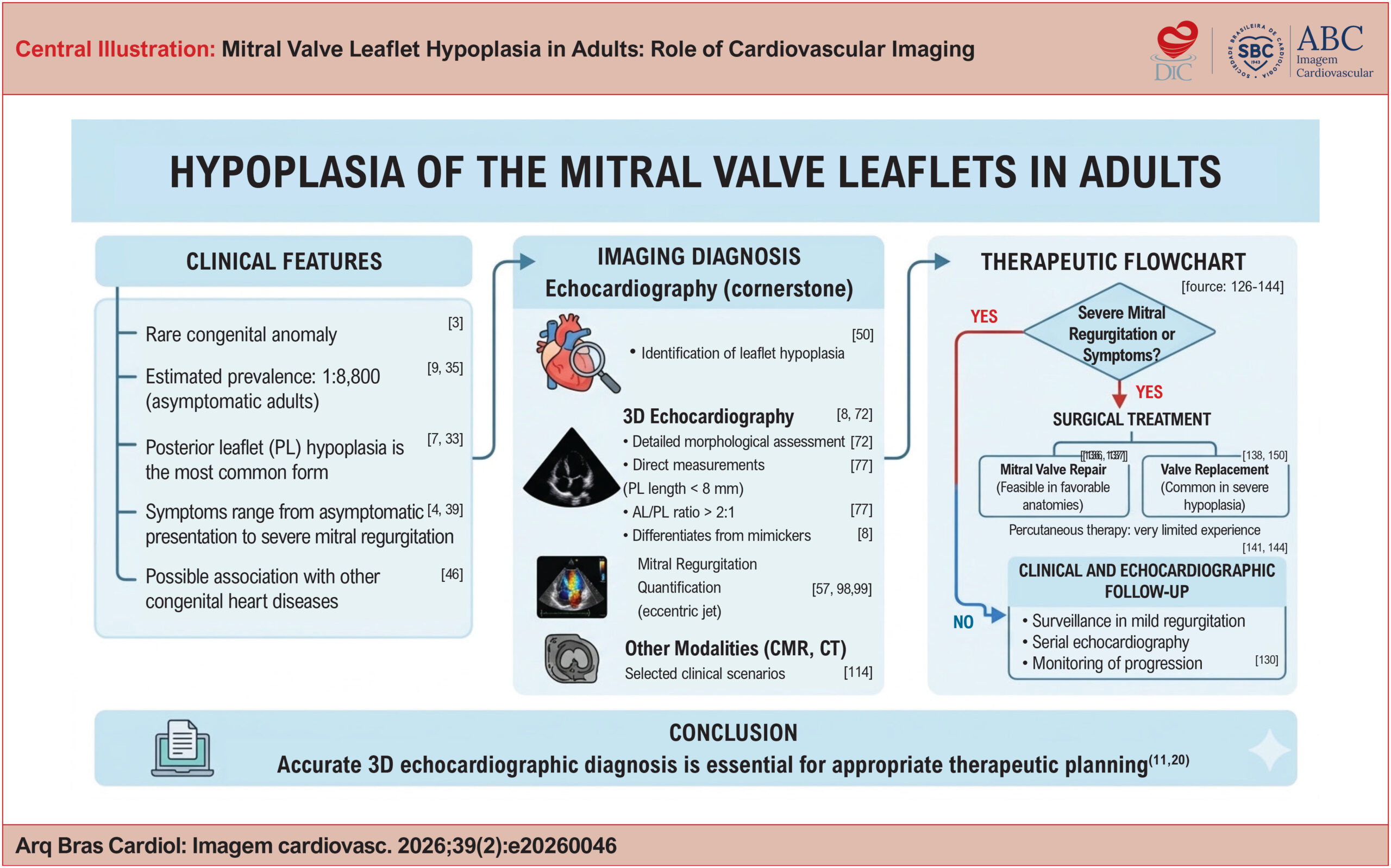 Mitral Valve Leaflet Hypoplasia in Adults: Role of Cardiovascular Imaging
