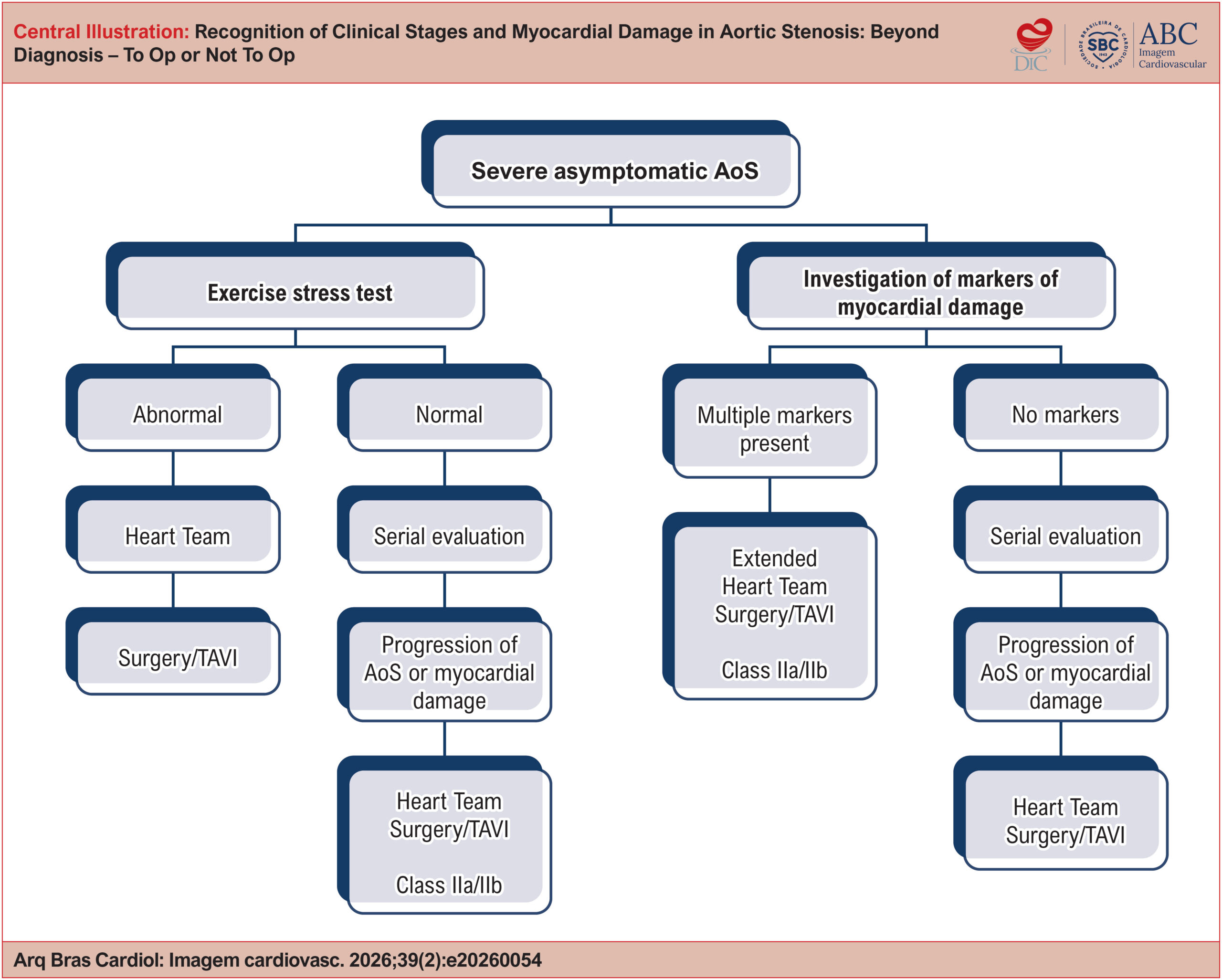Recognition of Clinical Stages and Myocardial Damage in Aortic Stenosis: Beyond Diagnosis – To Op or Not To Op