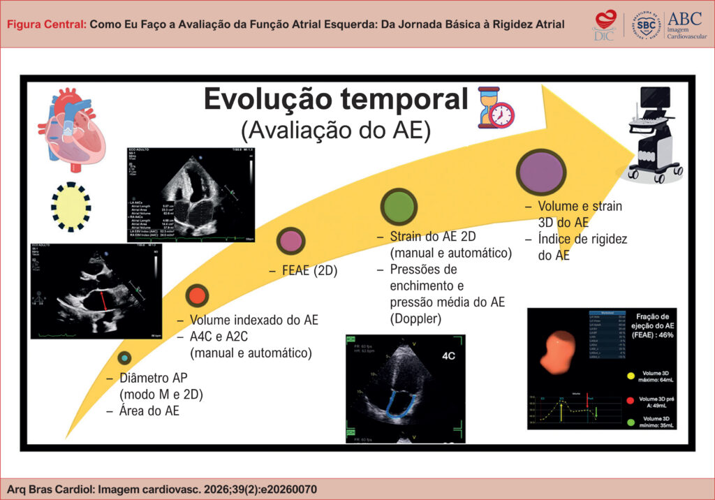 Imagem 1 da galeria