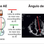Figura 2