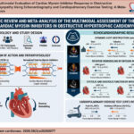 RCTs: Randomized Clinical Trials; CMIs: Cardiac Myosin Inhibitors; CPET: Cardiopulmonary Exercise Testing; oHCM: Obstructive Hypertrophic Cardiomyopathy.