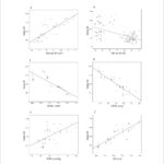 Figura 1