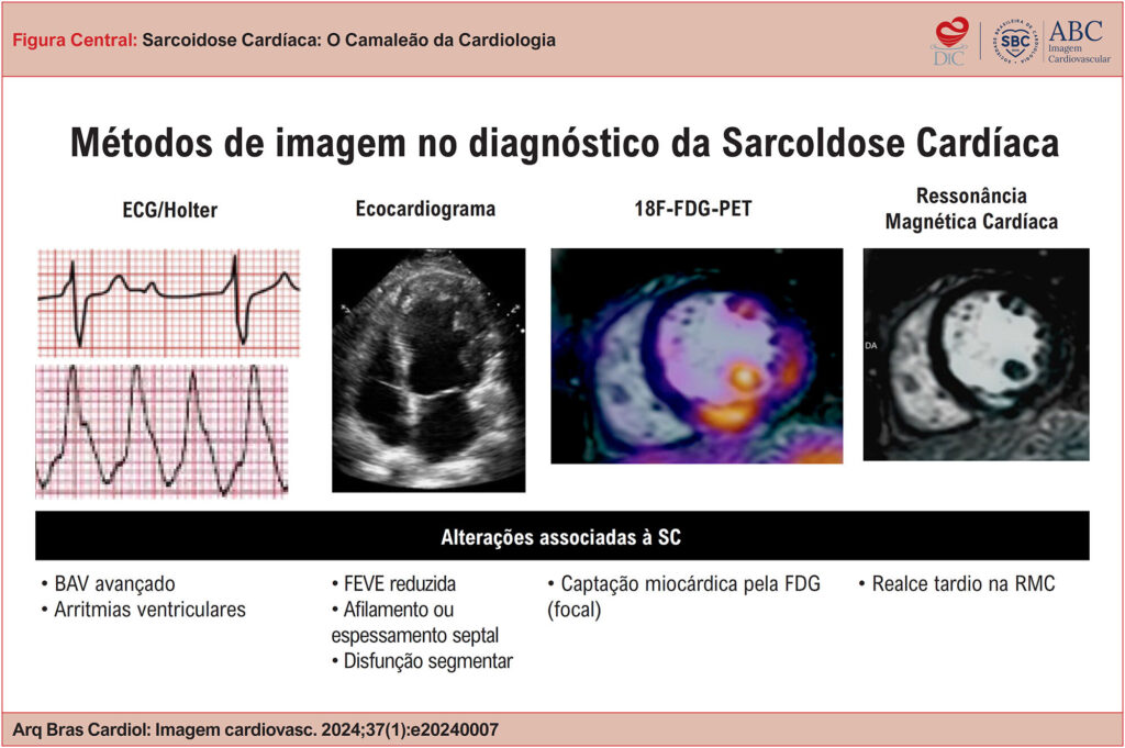 Imagem 1 da galeria