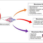 Figura 1