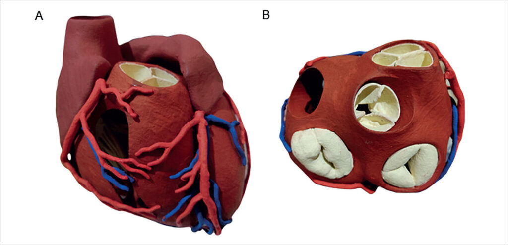 Figura 3