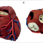 Figura 3