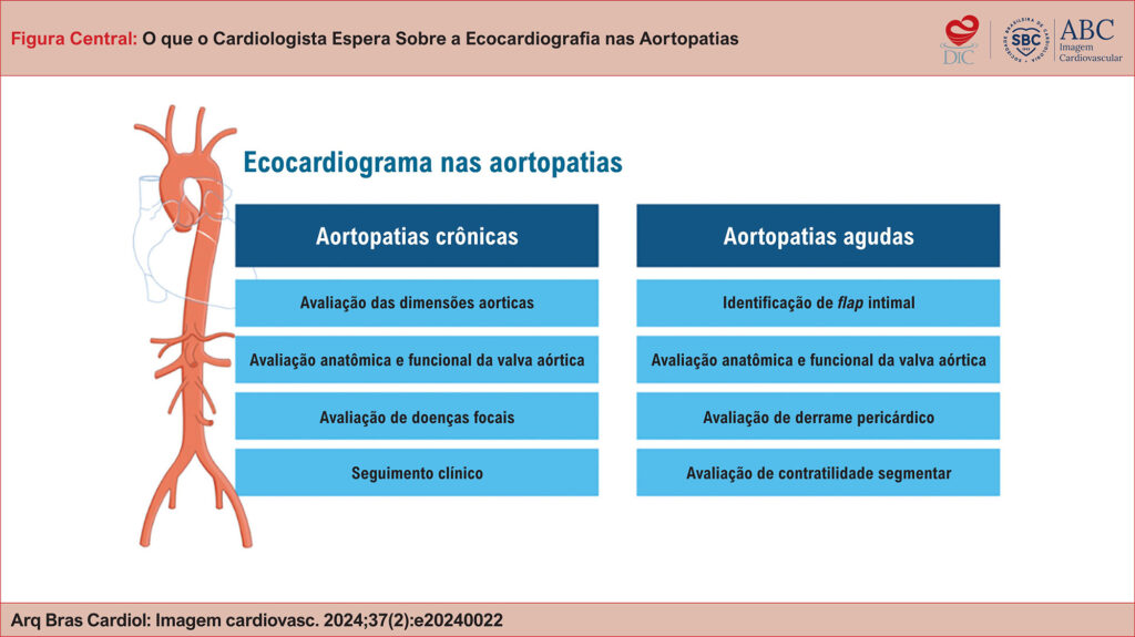 Imagem 11 da galeria