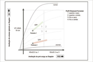 Figura 2