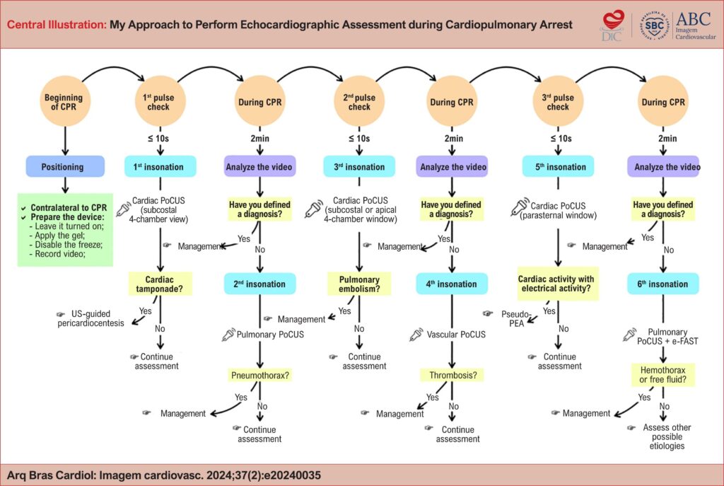 CPR: cardiopulmonary resuscitation; PEA: pulseless electrical activity; PoCUS: point-of-care ultrasound.