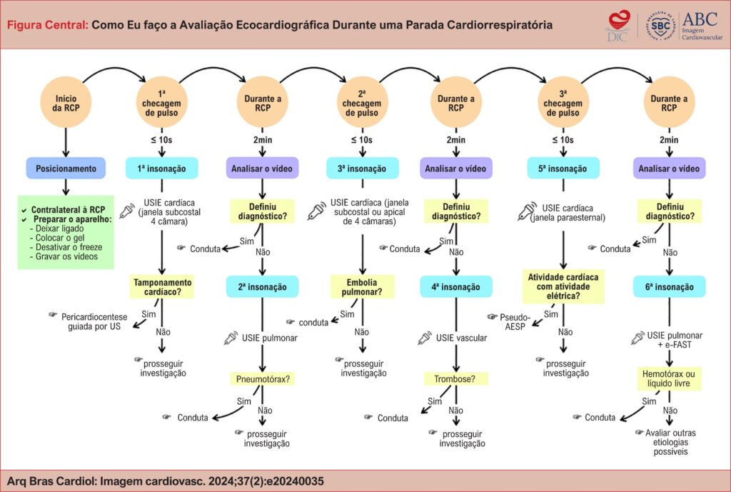 RCP: ressuscitação cardiorrespiratória; USIE: ultrassonografia do intensivista e do emergencista; AESP: atividade elétrica sem pulso; US: ultrassom.