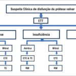 Figura 5