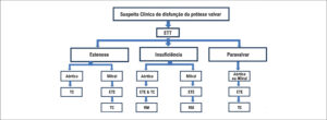 Figura 5