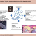 Utility of CT in Valve Prosthesis Dysfunction. BVP: Biological valve prosthesis, MVP: Mechanical valve prosthesis, VIV: Valve-in-valve; CT: computed tomography