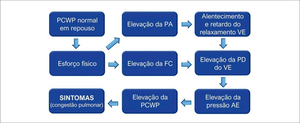 Figura 2