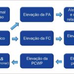 Figura 2