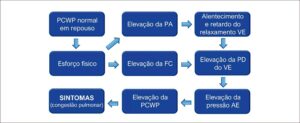 Figura 2