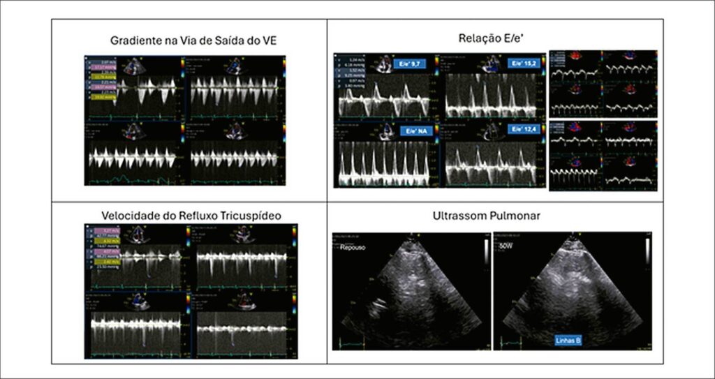 Figura 6