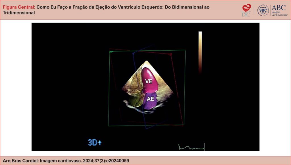 Imagem 2 da galeria